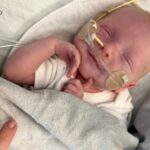 16435913 051625 wpvi gma chop crispr baby pkg video vid.jpg