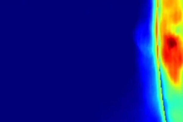 1747331088 photo.jpg