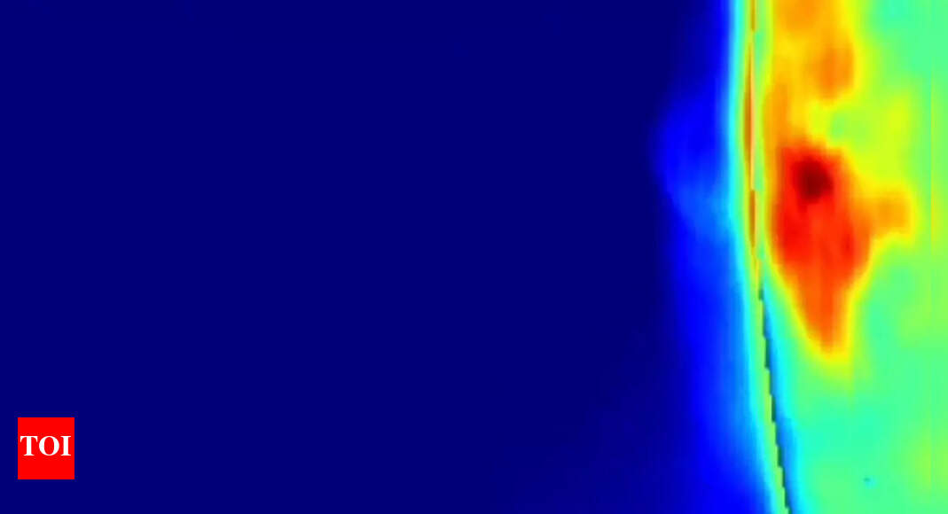 1747331088 photo.jpg