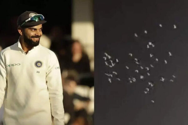 Watch: White pigeons pay tribute to Virat Kohli as rain halts RCB vs KKR clash | Cricket News 1747500552 photo.jpg