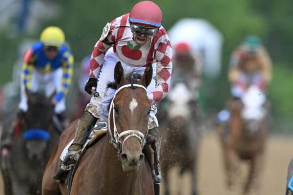Journalism Wins, Gosger Places, Sandman Shows 1747557994 0x0.jpg