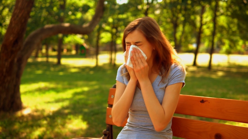 250514 nwo zee allergies hpmain 16x9.jpg