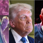 83681378007 swift trump springsteen.png