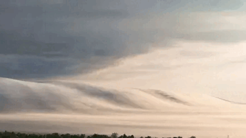 Ezgif.com resize 1.gif