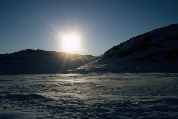 Gettyimages 167395019 scaled.jpg