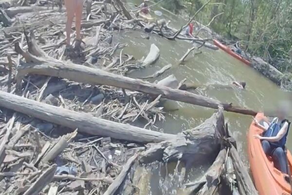 VIDEO: Police officer heroically jumps into Michigan river to save kayaker Kayak.jpg