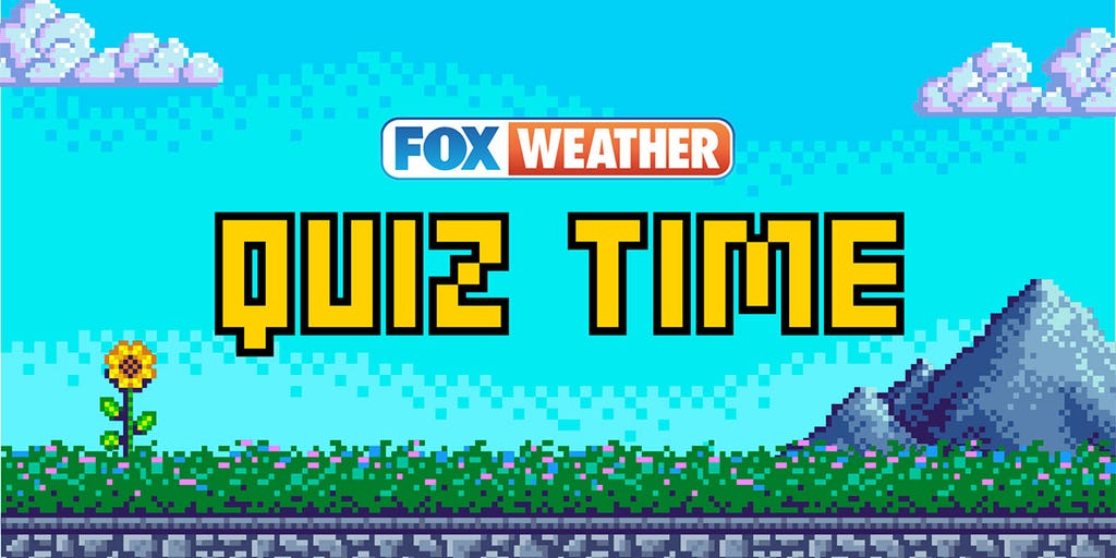 Quiz still.jpg