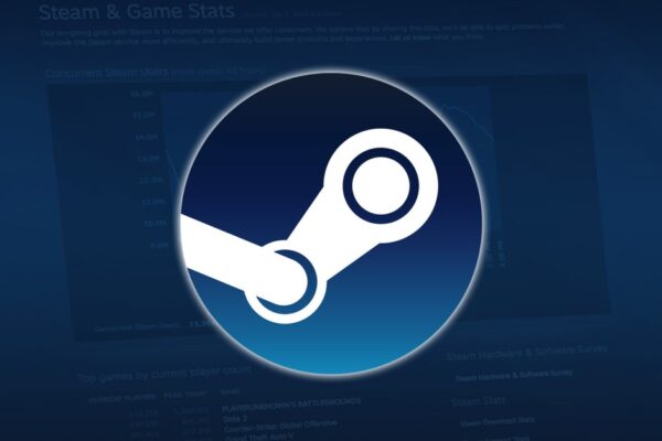 Steam stats.jpg