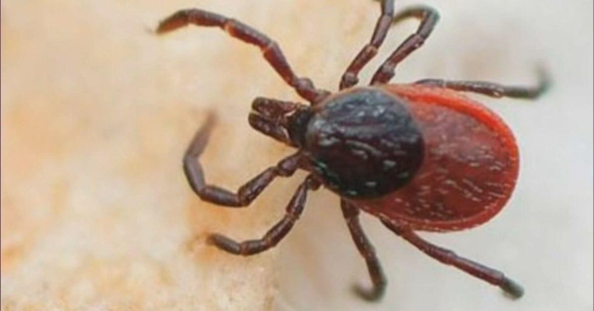 Warm weather tick trouble 10pkg frame 1763.jpg