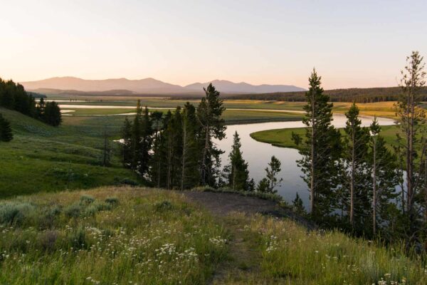 Yellowstone 051725 0ad20009f1d7460dbd400fca2d4d7d9f.jpg