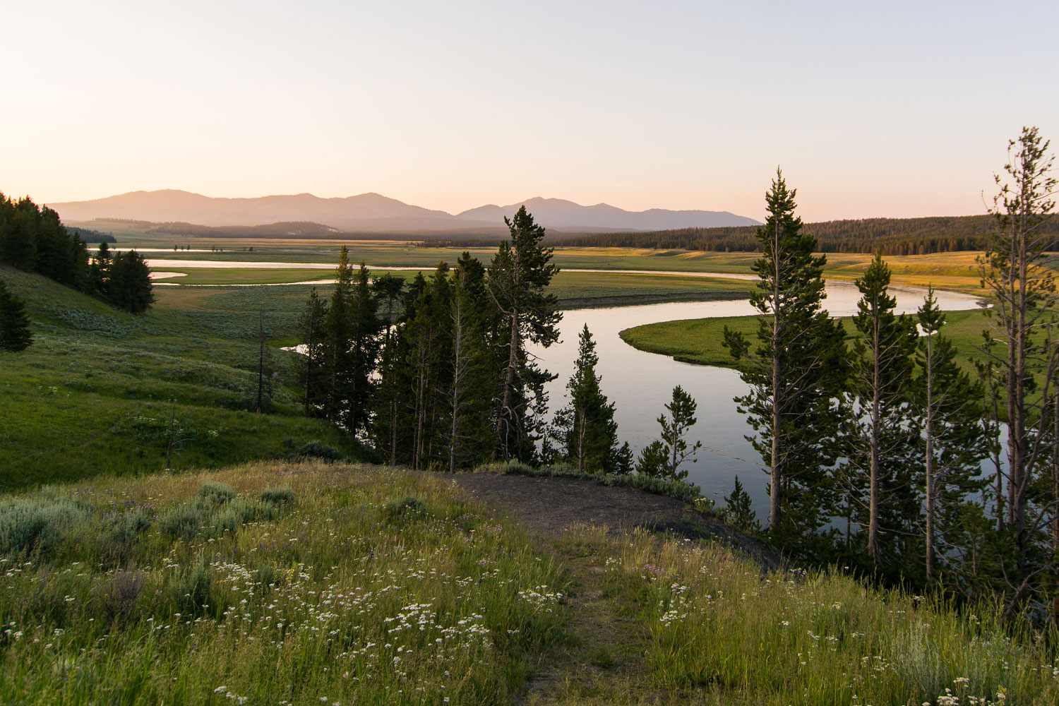 Yellowstone 051725 0ad20009f1d7460dbd400fca2d4d7d9f.jpg